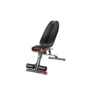 Banco Reclinable (fierro grueso)