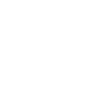 New Play Fit